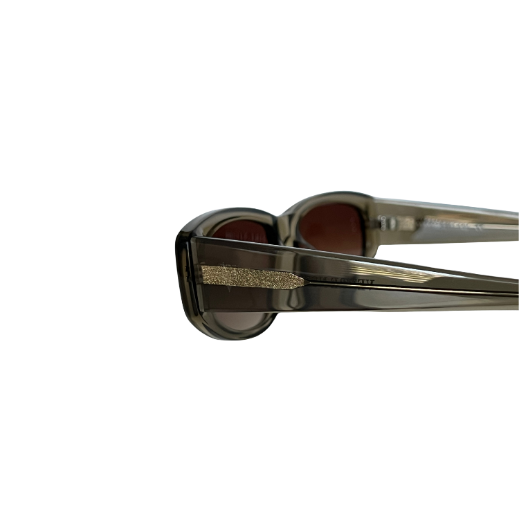 Close-up of sunglasses arm with sparkle frame
